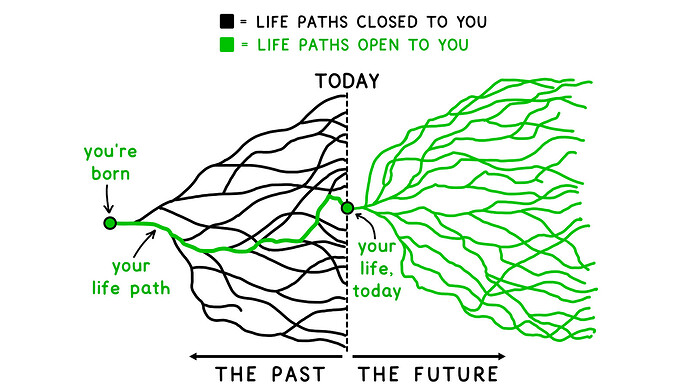 Tim Urban Past & Future paths