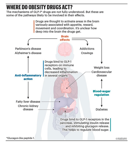 Screenshot 2025-08-18 at 7.23.04 PM