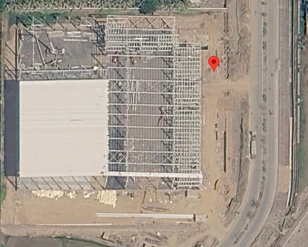 Google Photo of new plant