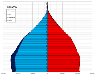 India_single_age_population_pyramid_2020