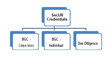 Core focus areas