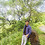 dhkbhu