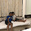 gpillai gpillai
