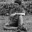 Milind_Haria